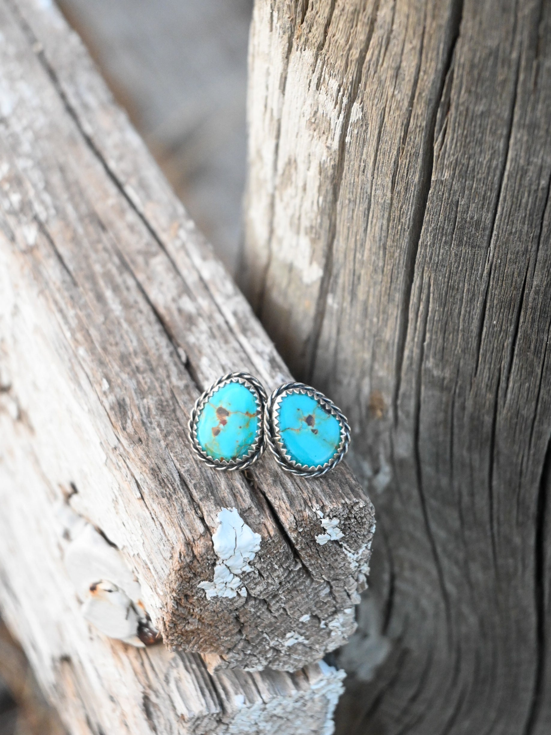 The Hazel Studs image 1