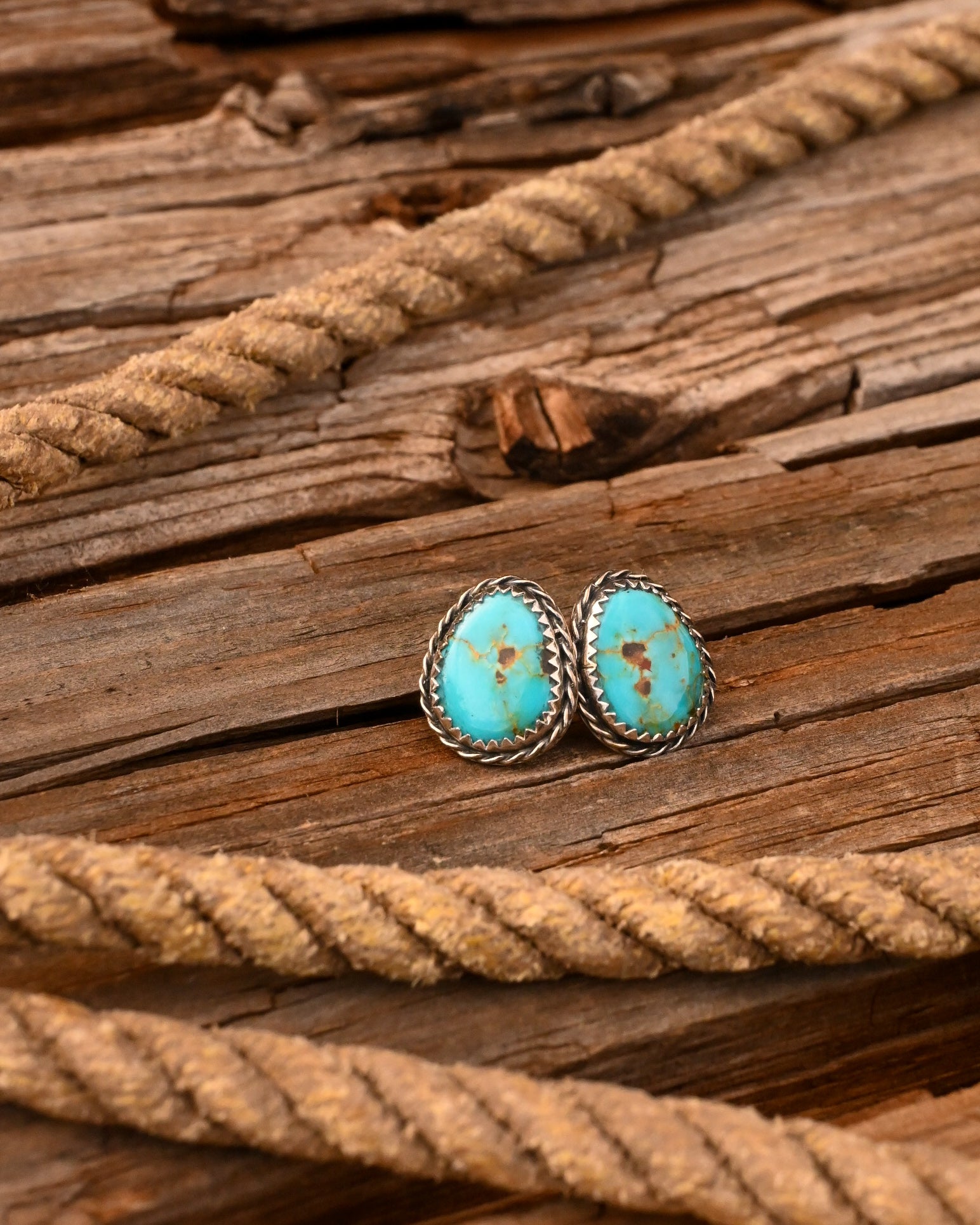 The Hazel Studs image 0