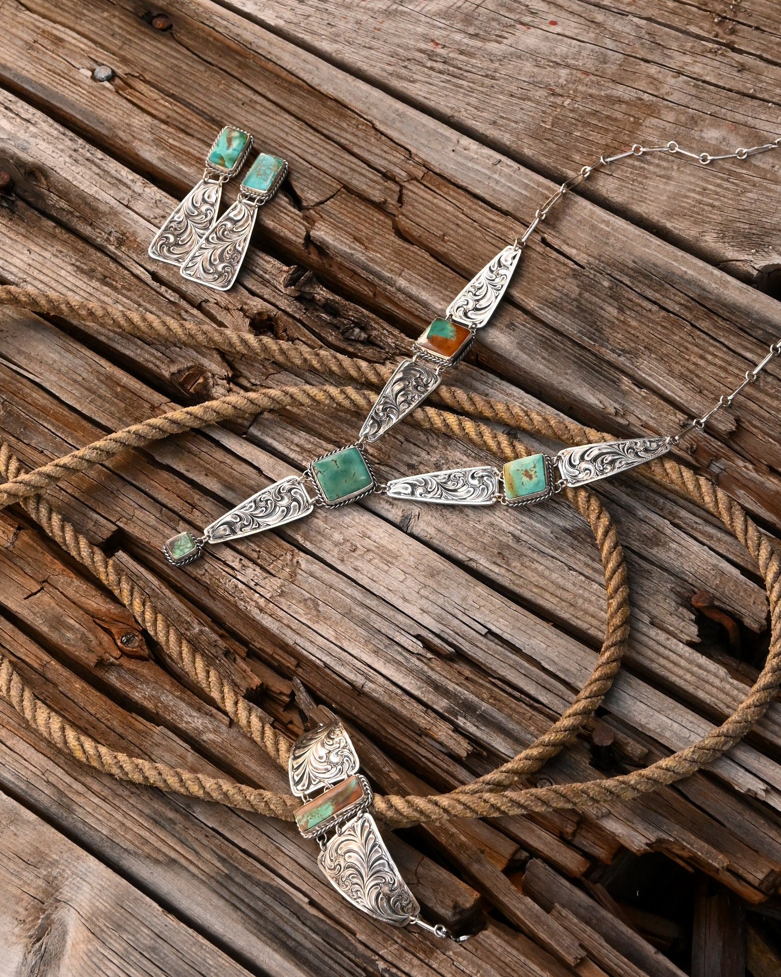 The Song of The Plains  image 0