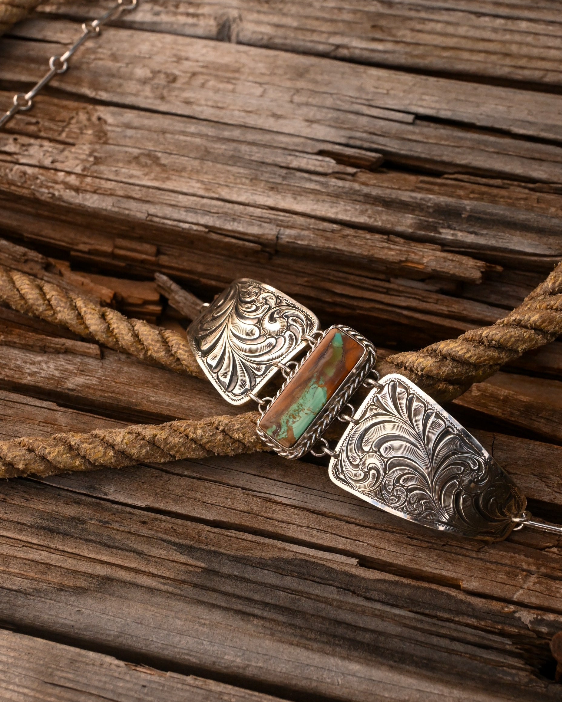 The Song of The Plains  image 3