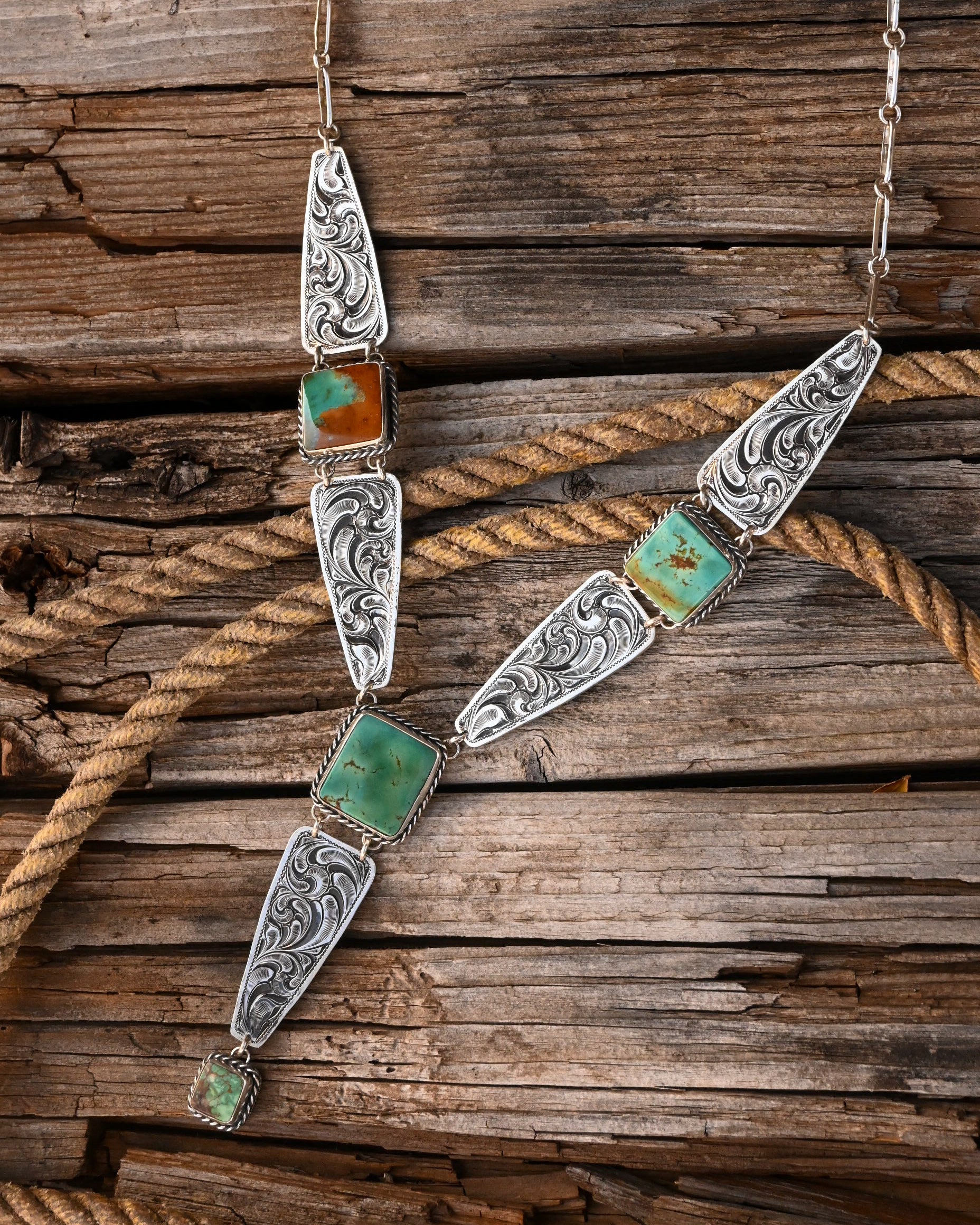 The Song of The Plains  image 5