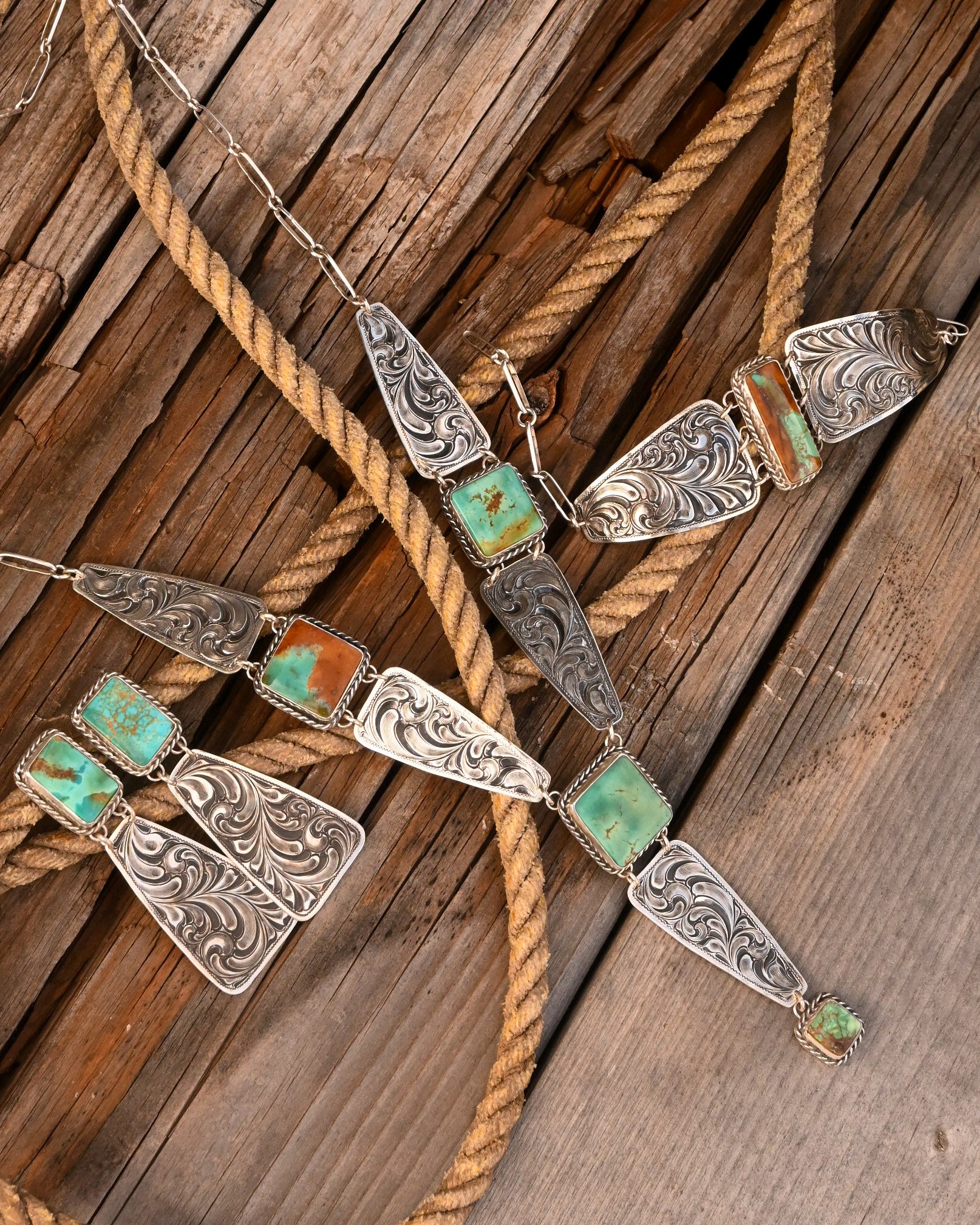 The Song of The Plains  image 1