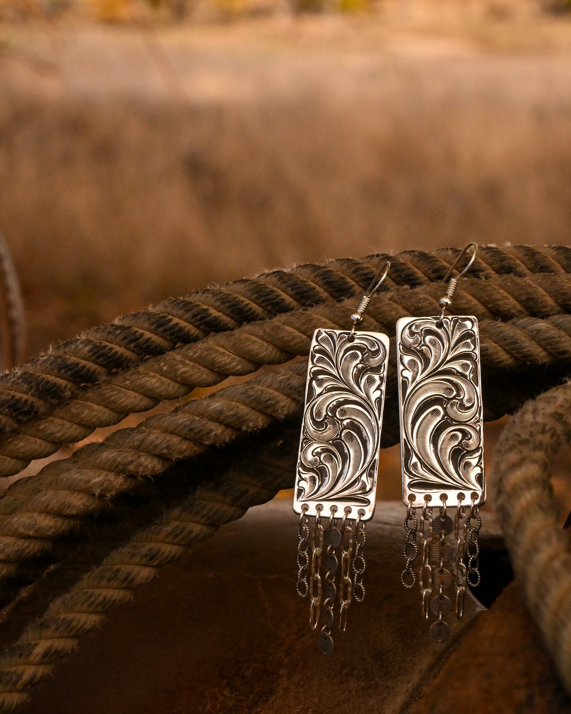 Open Range Earrings image 1