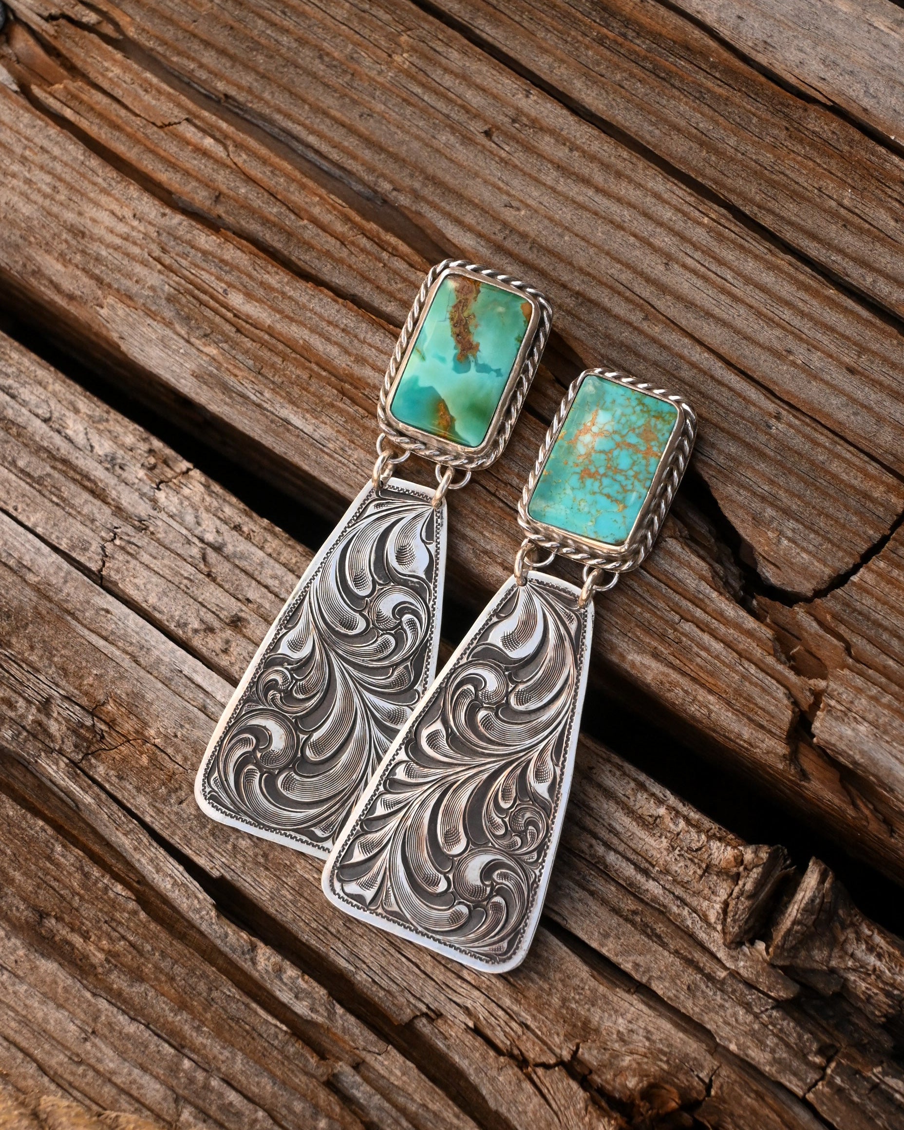 The Song of The Plains  image 4