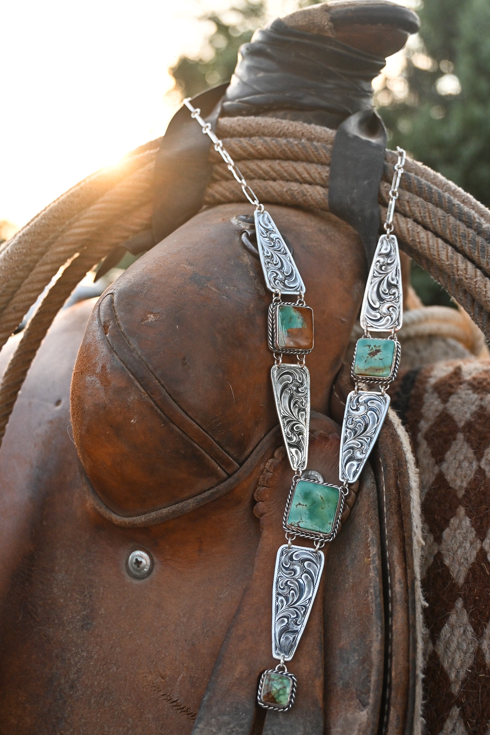 The Song of The Plains  image 9