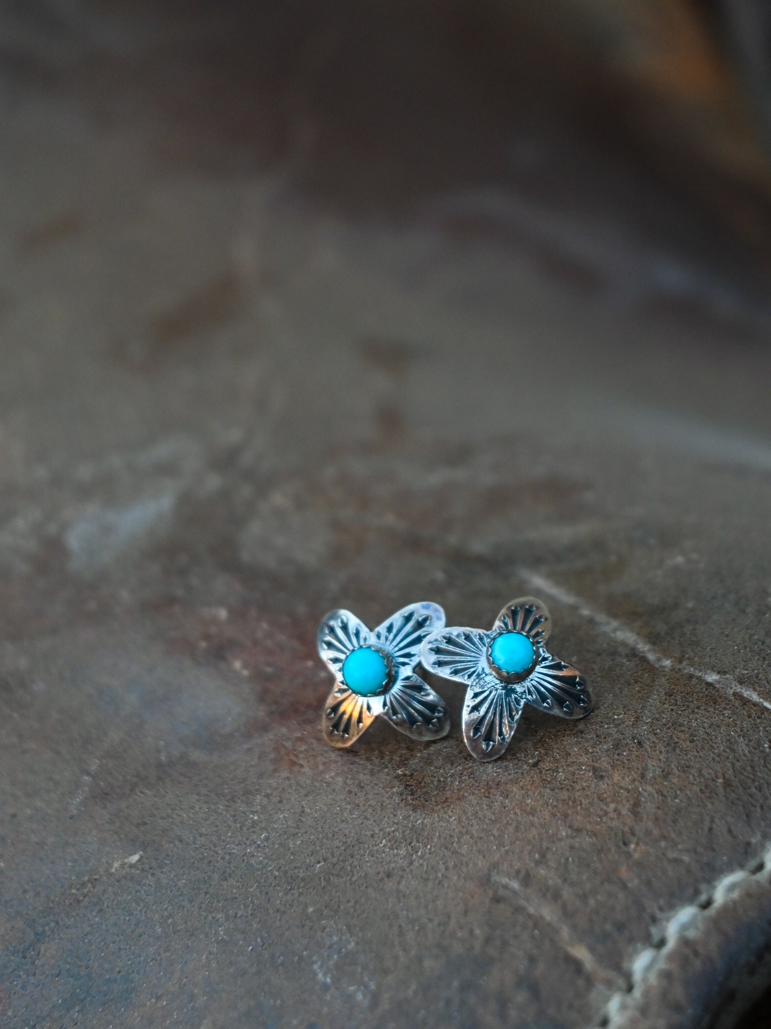 The Arizona Studs  image 0